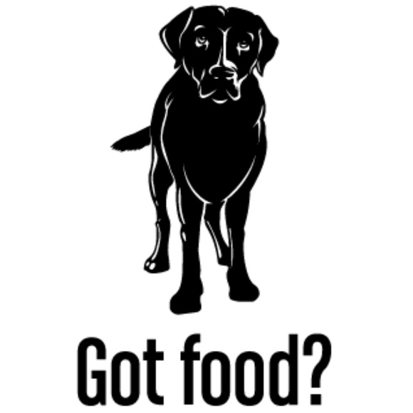 Got Food? T-Shirts - Picture 2 of 2